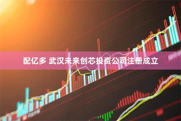 配亿多 武汉未来创芯投资公司注册成立