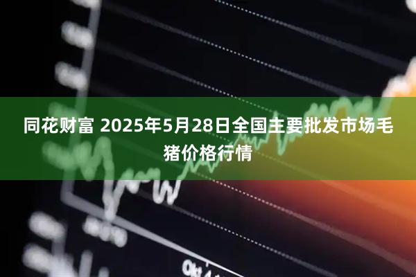 同花财富 2025年5月28日全国主要批发市场毛猪价格行情