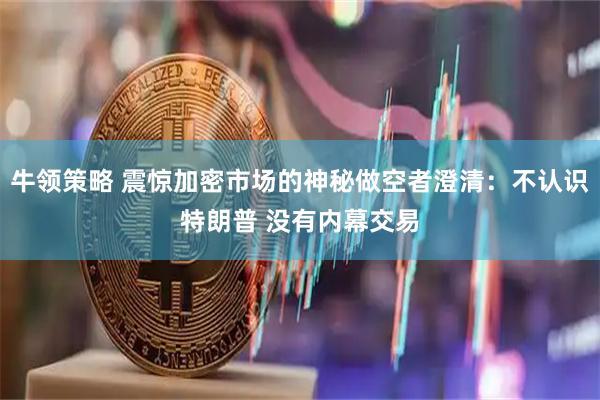 牛领策略 震惊加密市场的神秘做空者澄清：不认识特朗普 没有内幕交易