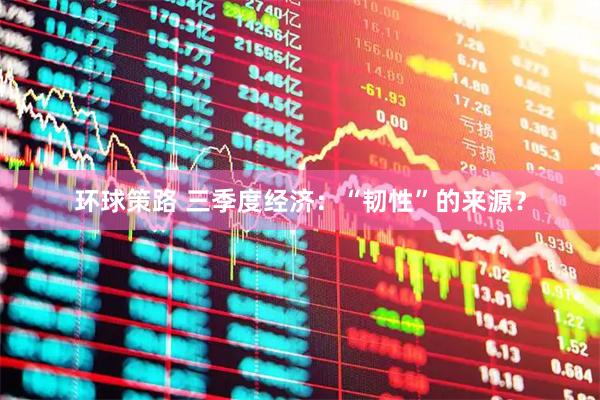 环球策路 三季度经济：“韧性”的来源？