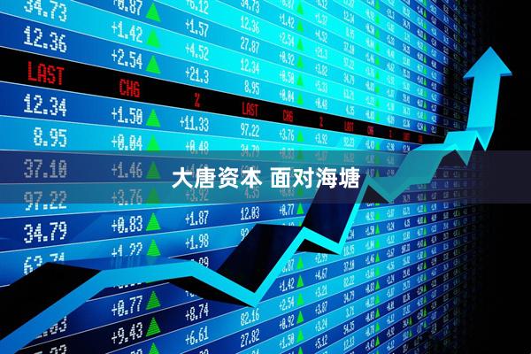 大唐资本 面对海塘