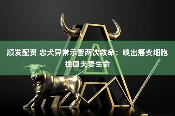 顺发配资 忠犬异常示警两次救命：嗅出癌变细胞挽回夫妻生命