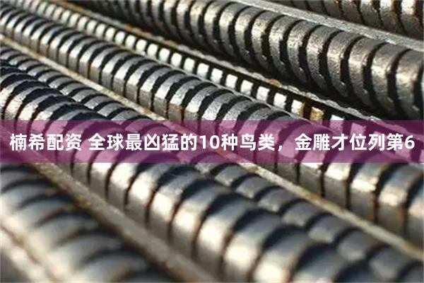 楠希配资 全球最凶猛的10种鸟类，金雕才位列第6