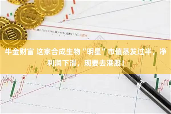 牛金财富 这家合成生物“明星”市值蒸发过半，净利润下滑，现要去港股！